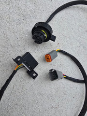 Universal ZF 8HP Swap Harness, MaxxECU & CAN Bus TCU Compatible